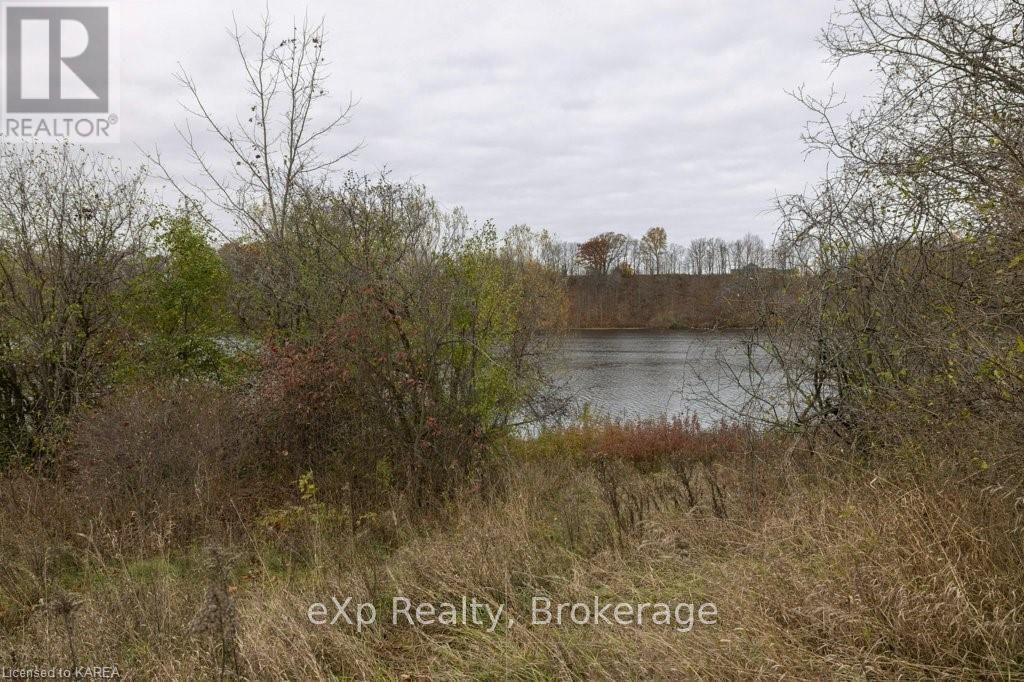 114 Hineman Street, Kingston, Ontario  K7L 0G2 - Photo 30 - X9410212