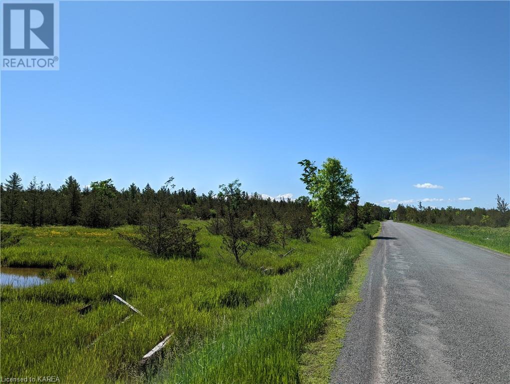 0 Pinegrove Road, Greater Napanee, Ontario  K0K 2W0 - Photo 11 - 40572494