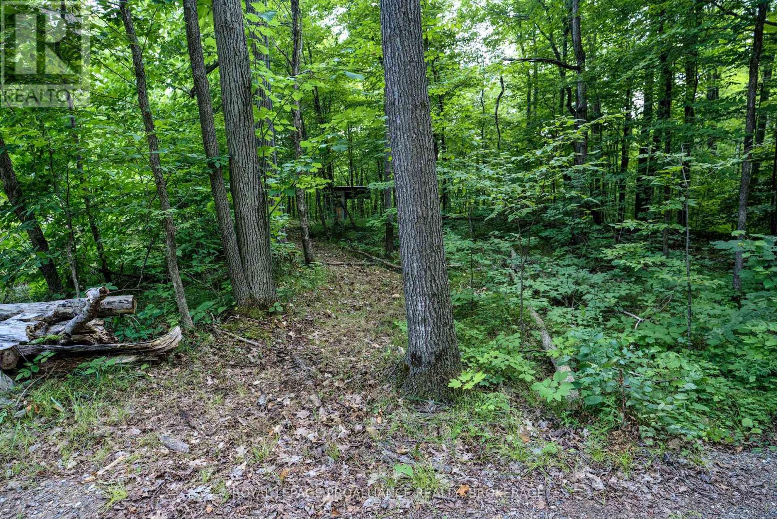 572 Oak Bluffs Road, South Frontenac (Frontenac South), Ontario  K0H 2B0 - Photo 22 - X9410689