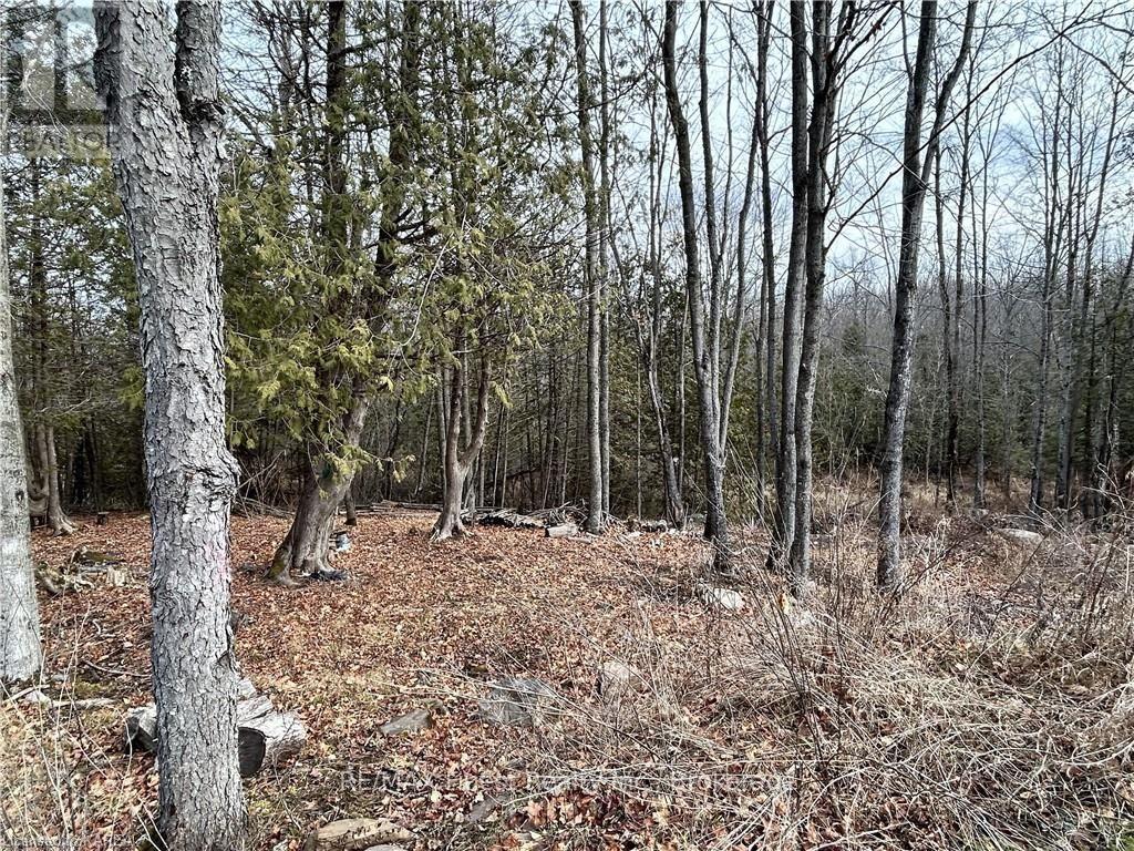 269 9th Concession Road, Stone Mills, Ontario  K0K 1Z0 - Photo 5 - X9507669