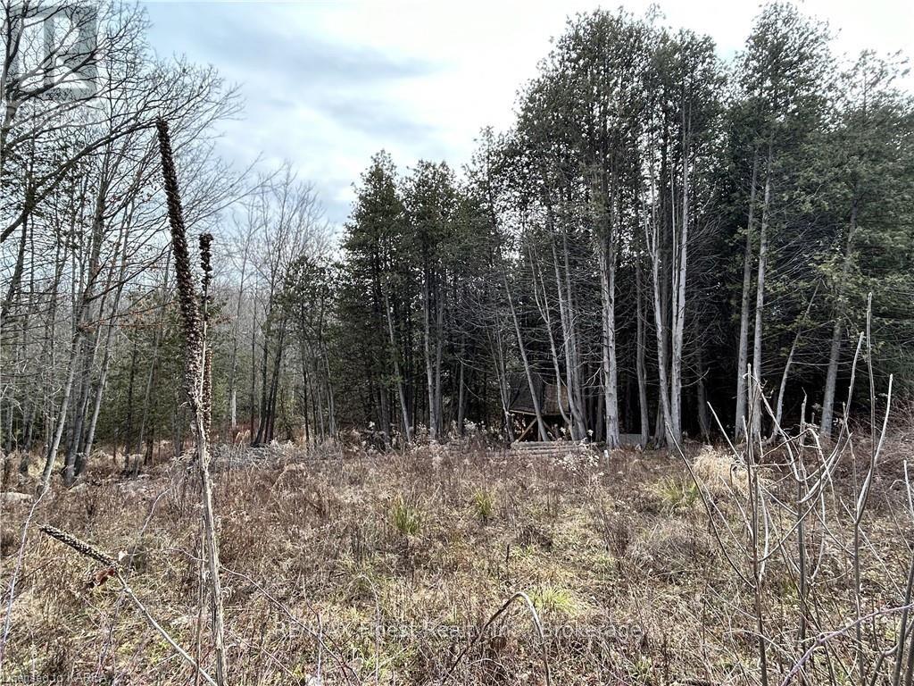 269 9th Concession Road, Stone Mills, Ontario  K0K 1Z0 - Photo 6 - X9507669