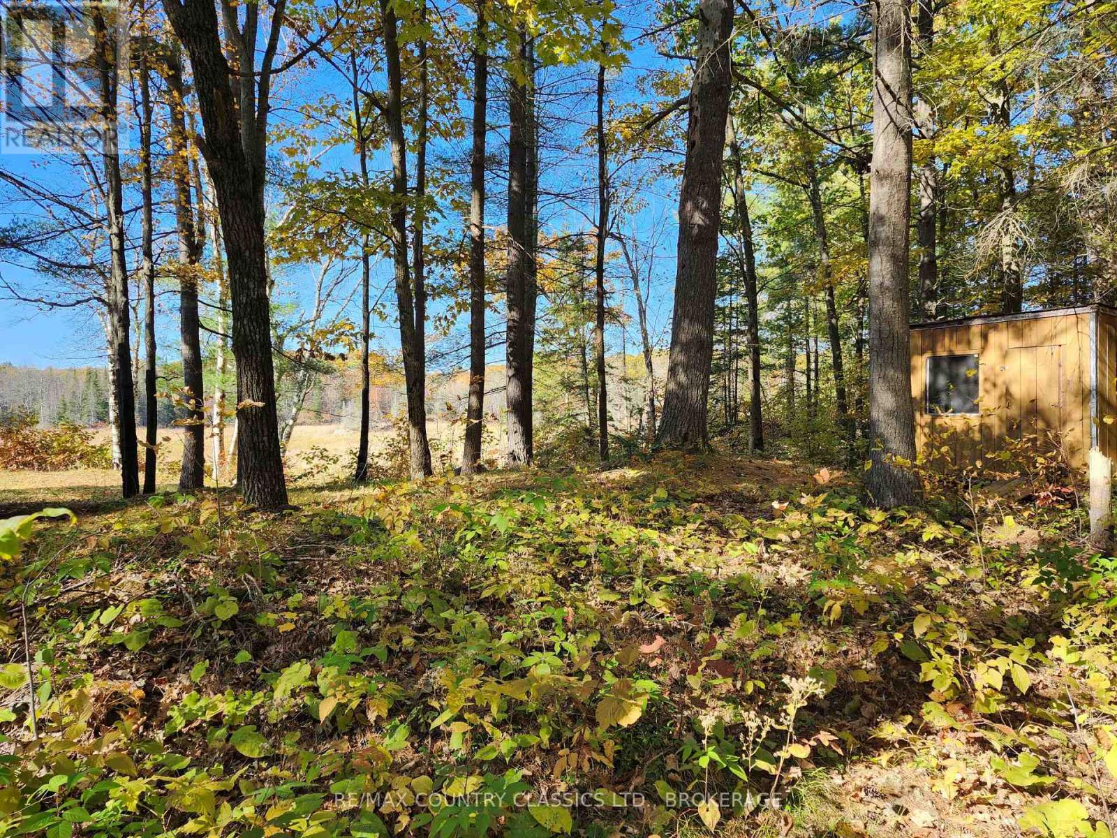 1116 Greer Road, Frontenac, Ontario  K0H 1J0 - Photo 6 - X10410996