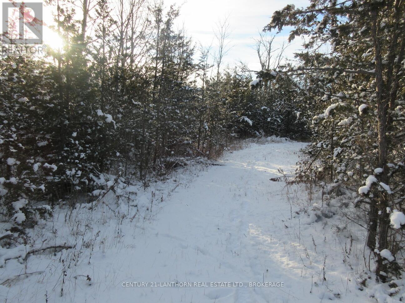 0 O' Connell Side Road, Greater Napanee, Ontario  K0K 2W0 - Photo 5 - X11884580