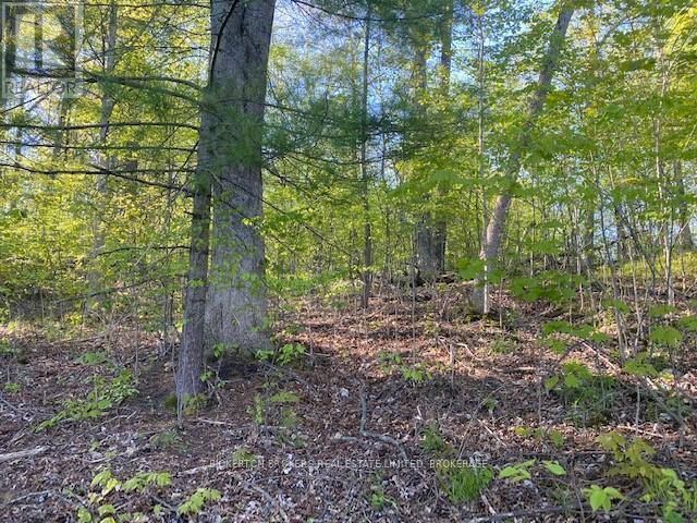 3519 County Rd 3 Road, Leeds & The Thousand Islands, Ontario  K0E 1N0 - Photo 22 - X11891125
