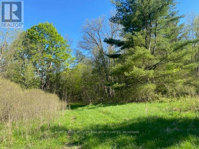 3519 County Rd 3 Road, Leeds & The Thousand Islands, Ontario  K0E 1N0 - Photo 6 - X11891125