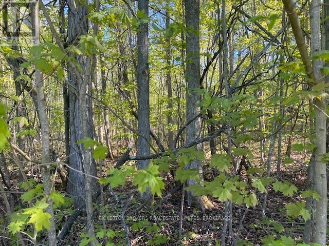 3519 County Rd 3 Road, Leeds & The Thousand Islands, Ontario  K0E 1N0 - Photo 7 - X11891125