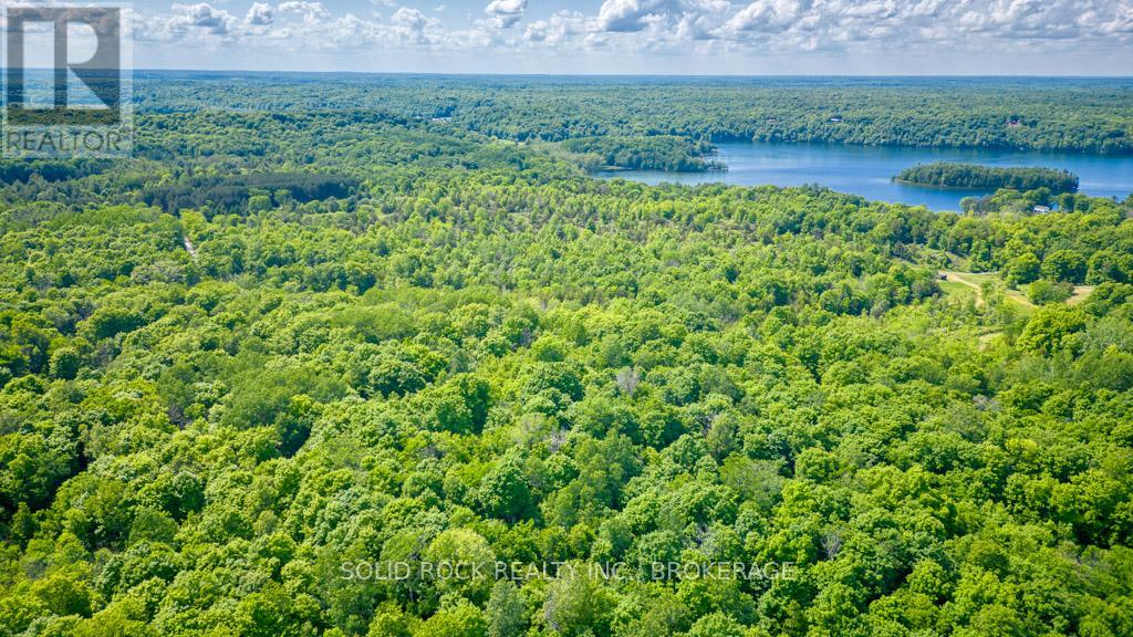 Lot 24 Lee Road, South Frontenac (Frontenac South), Ontario  K0G 1X0 - Photo 14 - X11919839