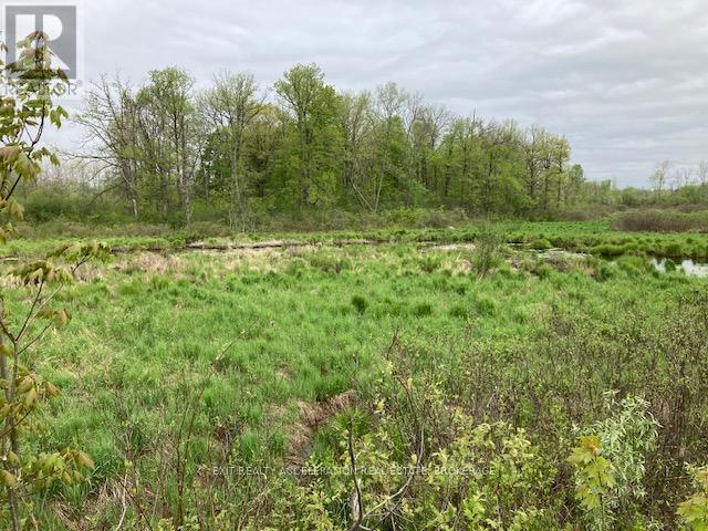 0 9th Concession Road, Stone Mills, Ontario  K0K 1Z0 - Photo 26 - X11920310