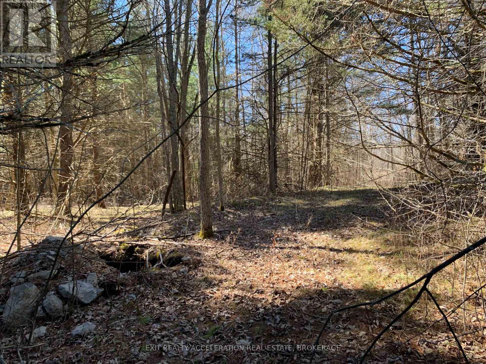 00con11 Pine Grove Road, Greater Napanee, Ontario  K0K 2L0 - Photo 2 - X11953040