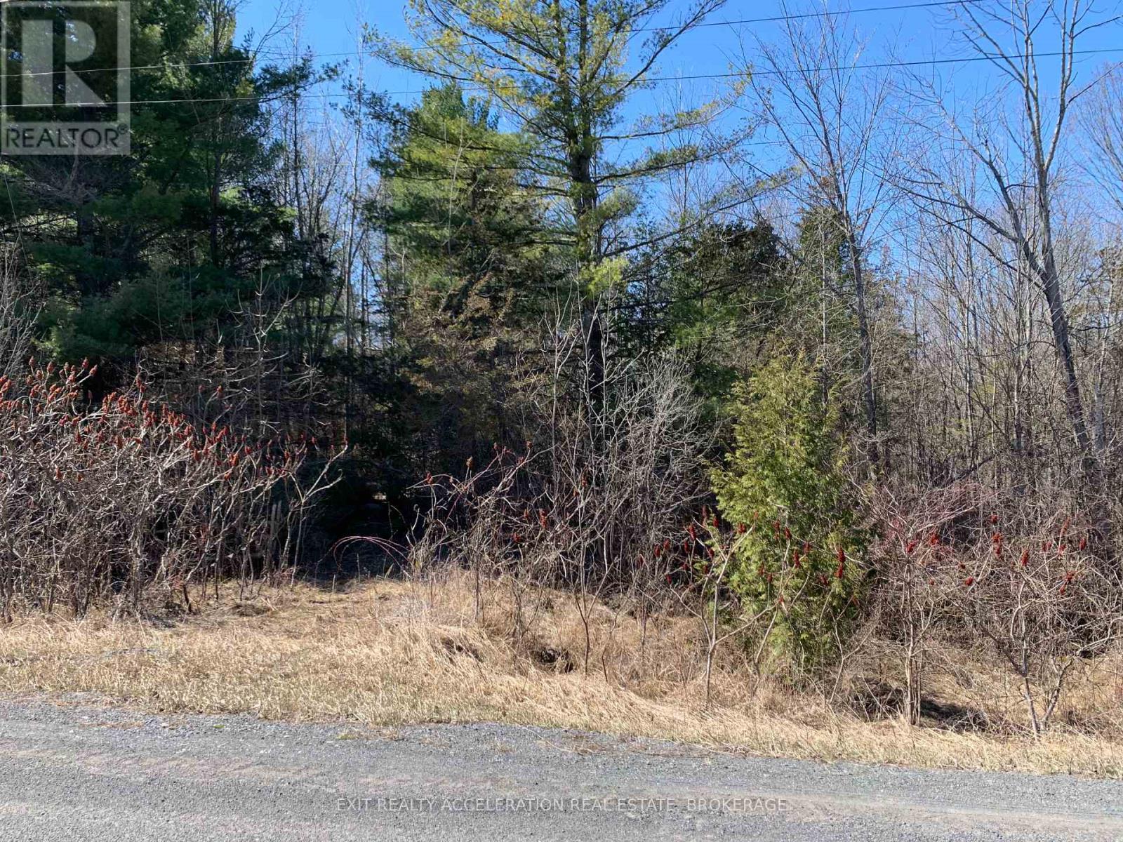 00con11 Pine Grove Road, Greater Napanee, Ontario  K0K 2L0 - Photo 5 - X11953040