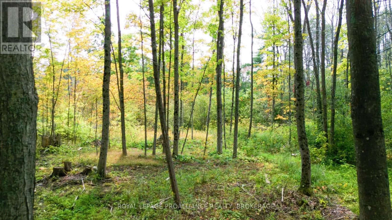 3590 Alton Road, South Frontenac (Frontenac South), Ontario  K0H 1V0 - Photo 2 - X11955131