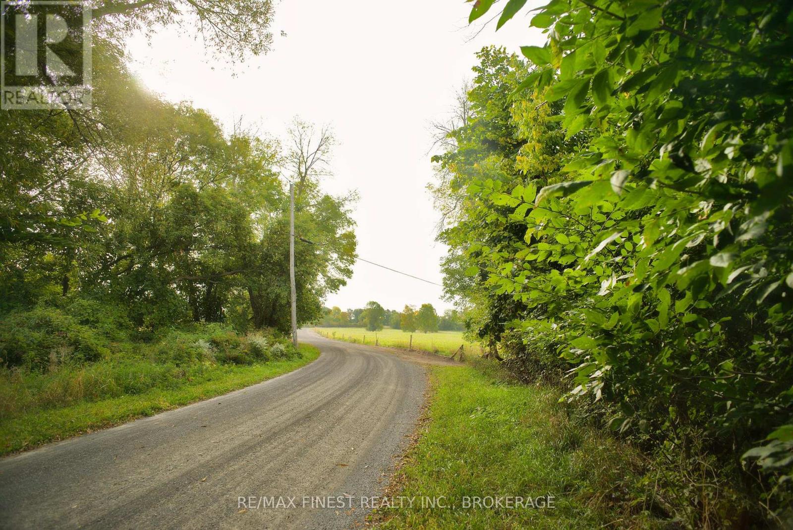 15355 Front Road, Loyalist, Ontario  K0H 2S0 - Photo 10 - X11967258
