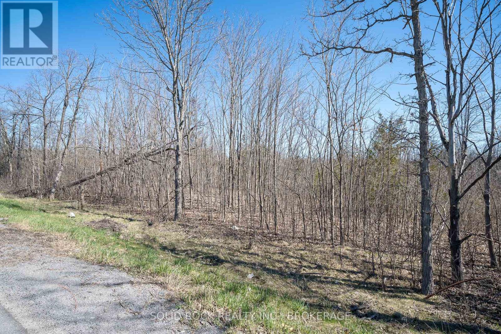 Pt Lt 3 County Rd 6 Road, Loyalist (Lennox And Addington - South), Ontario  K0K 3N0 - Photo 18 - X11970819