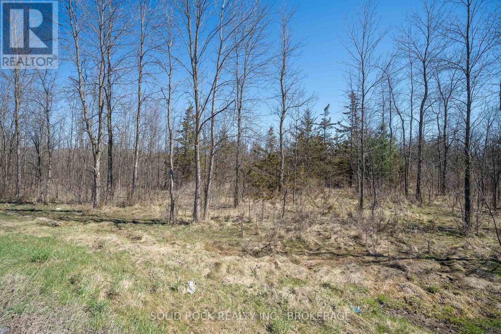 Pt Lt 3 County Rd 6 Road, Loyalist (Lennox And Addington - South), Ontario  K0K 3N0 - Photo 21 - X11970819