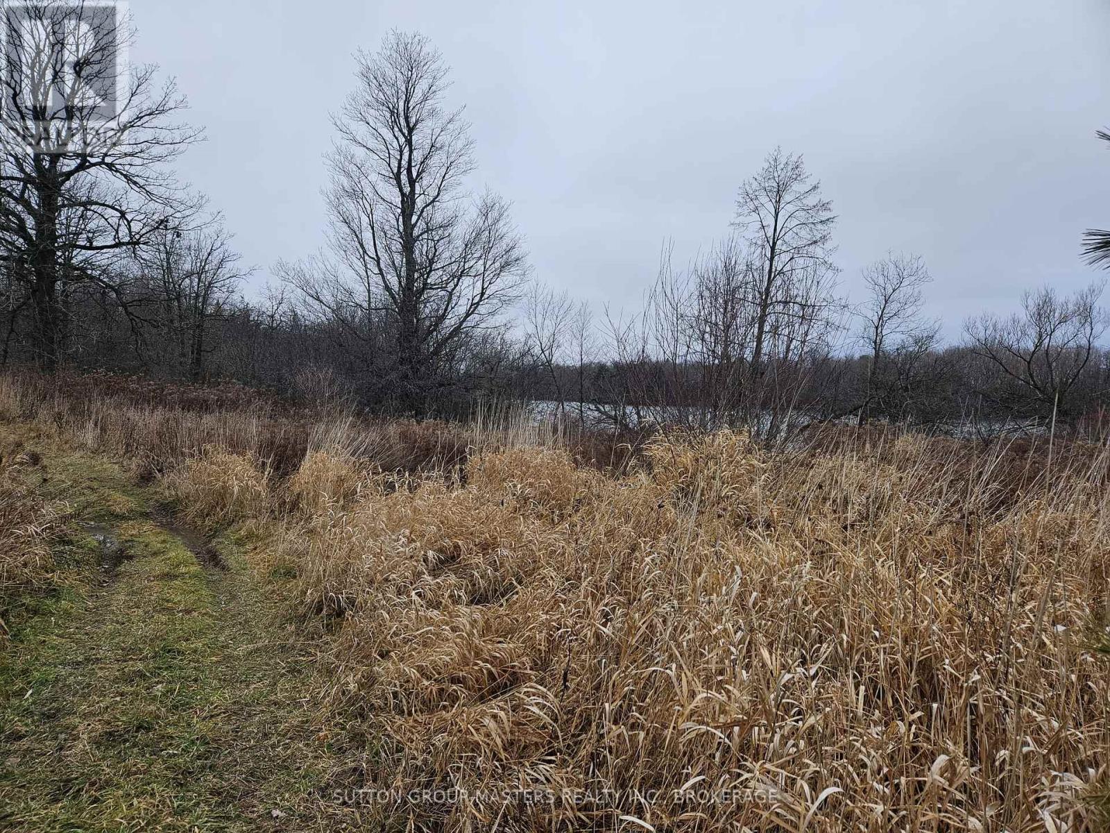 213 Mann Drive, Kingston, Ontario  K7L 4V3 - Photo 3 - X11988302