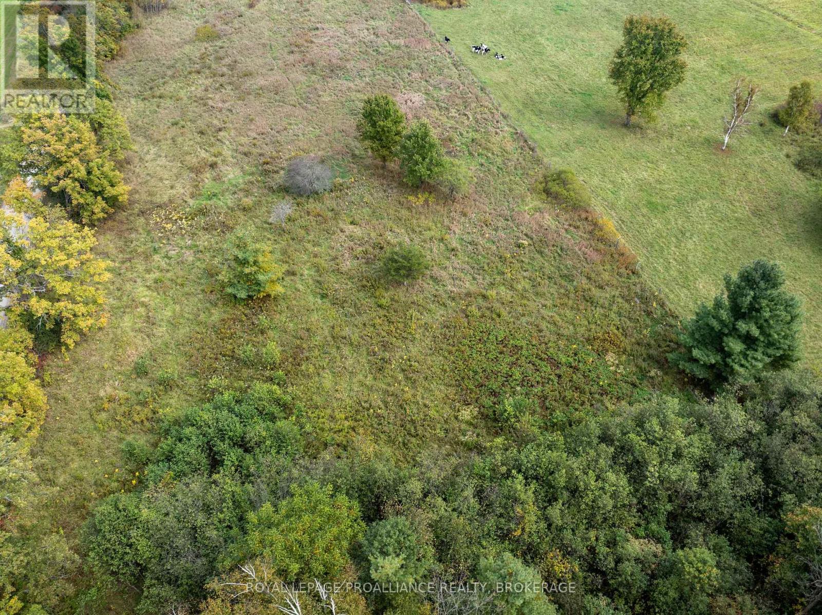 Pt 5 Mcandrews Road, Rideau Lakes, Ontario  K0G 1X0 - Photo 13 - X12008693