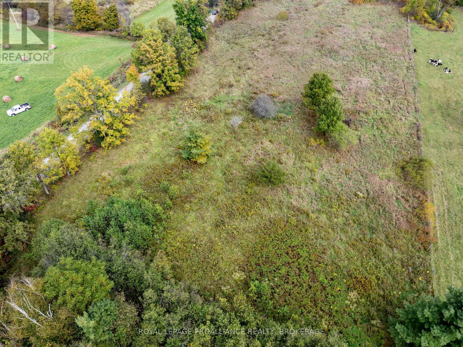Pt 5 Mcandrews Road, Rideau Lakes, Ontario  K0G 1X0 - Photo 14 - X12008693
