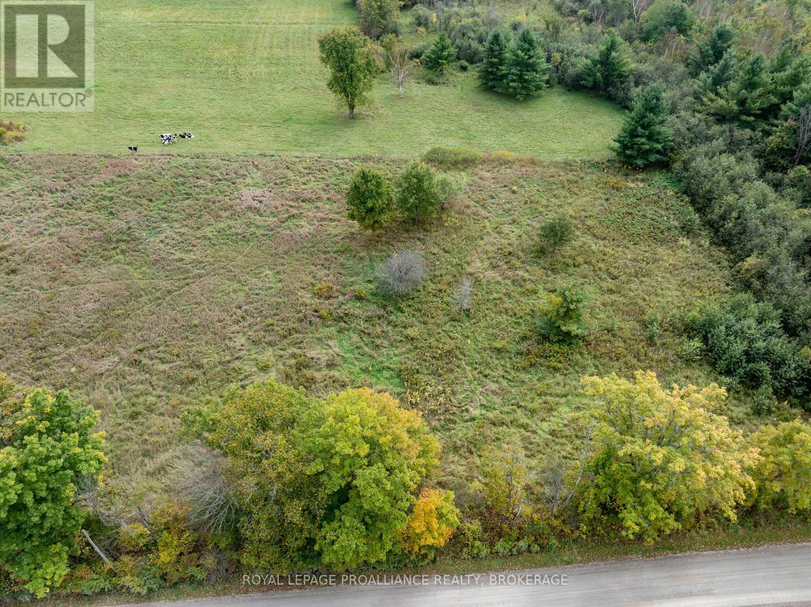 Pt 5 Mcandrews Road, Rideau Lakes, Ontario  K0G 1X0 - Photo 3 - X12008693