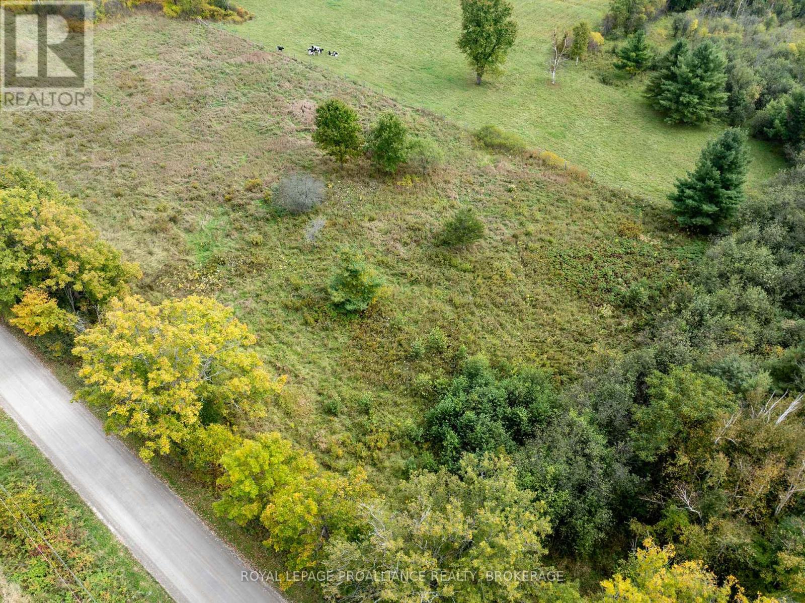 Pt 5 Mcandrews Road, Rideau Lakes, Ontario  K0G 1X0 - Photo 6 - X12008693