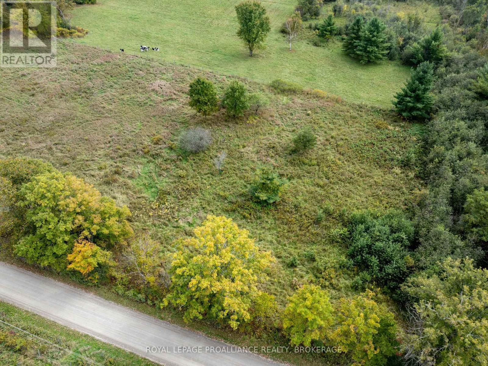 Pt 5 Mcandrews Road, Rideau Lakes, Ontario  K0G 1X0 - Photo 9 - X12008693