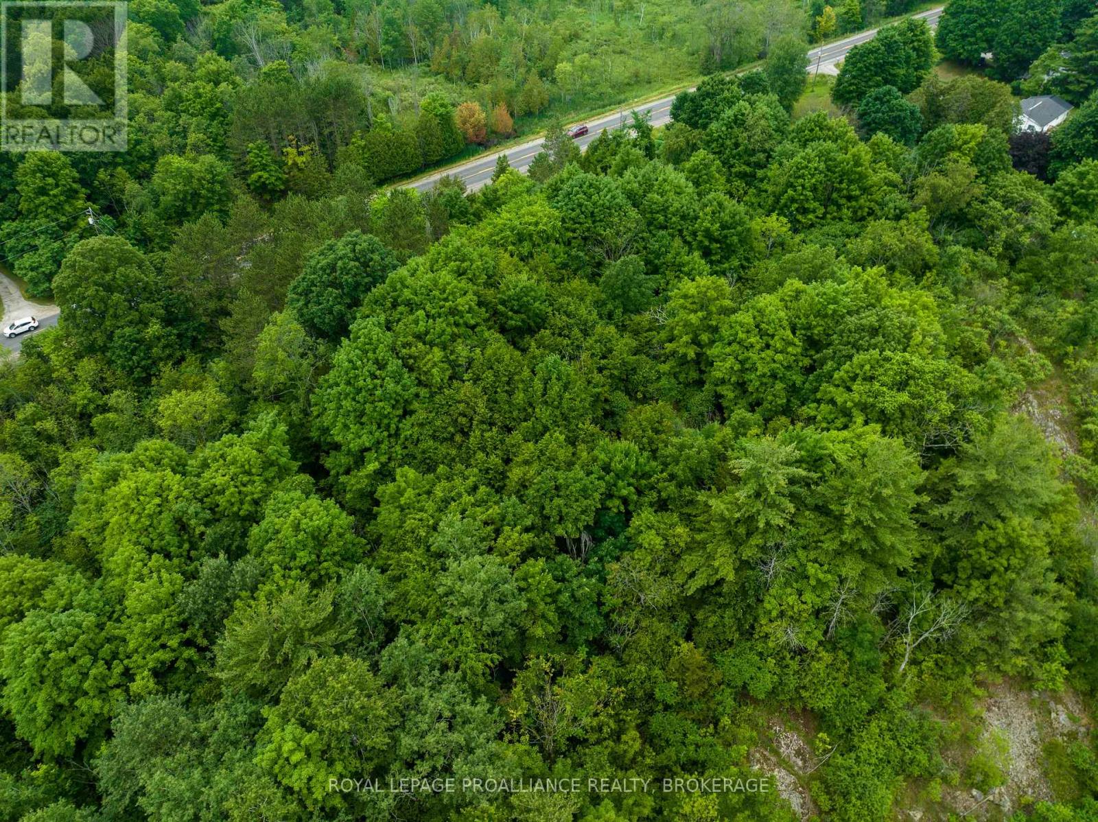 Pt Lt 4-5 Perth Road, Rideau Lakes, Ontario  K0G 1X0 - Photo 14 - X12009912