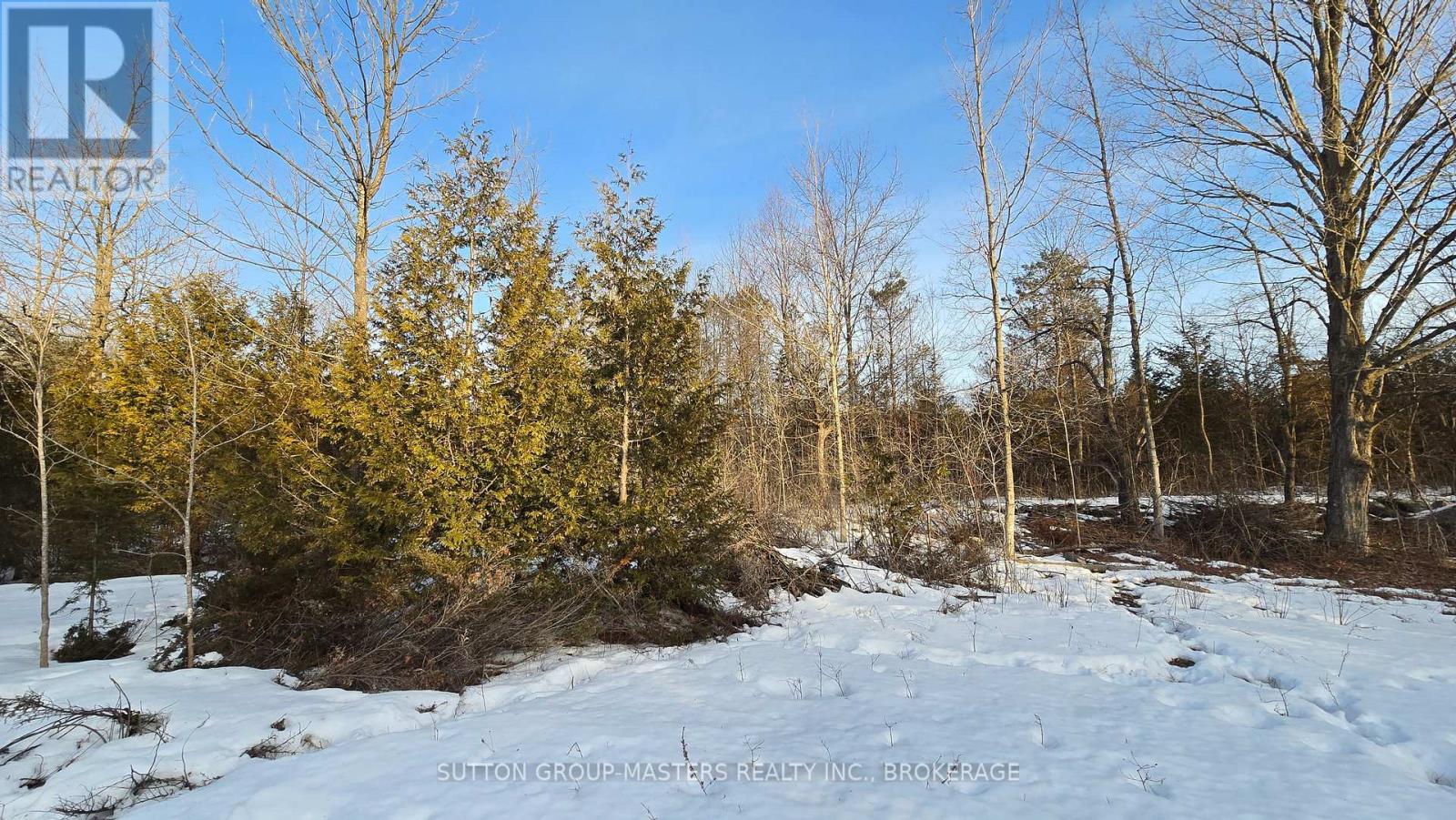 00 Mccutcheon Road, Stone Mills, Ontario  K0K 3W0 - Photo 11 - X12022362