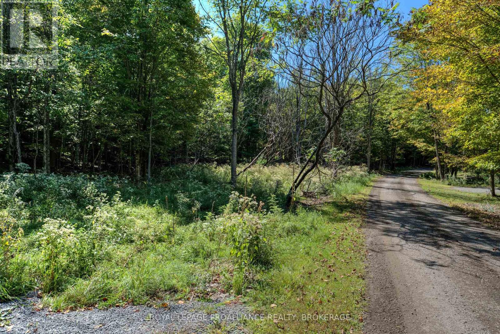 Ptlt 20 Dr John Lane, Rideau Lakes, Ontario  K0G 1E0 - Photo 19 - X12025237