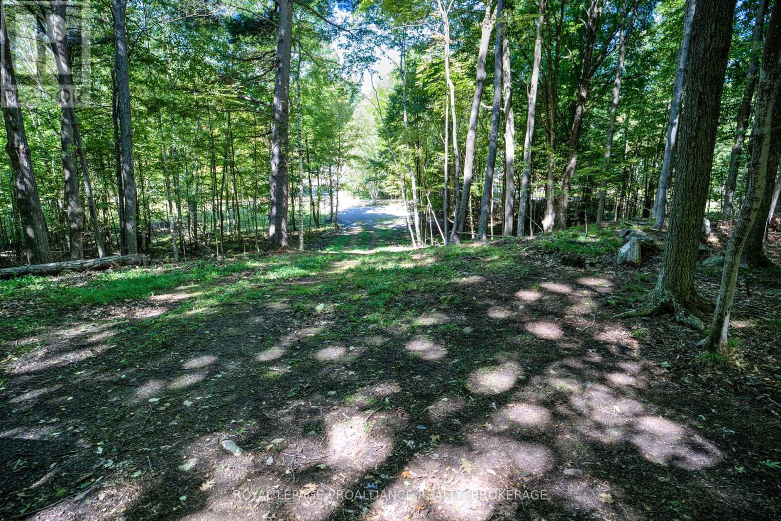 Ptlt 20 Dr John Lane, Rideau Lakes, Ontario  K0G 1E0 - Photo 28 - X12025237
