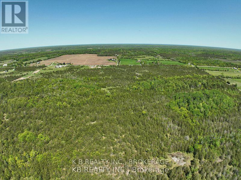 502 Centerville Road, Stone Mills, Ontario  K0K 1N0 - Photo 3 - X12033195