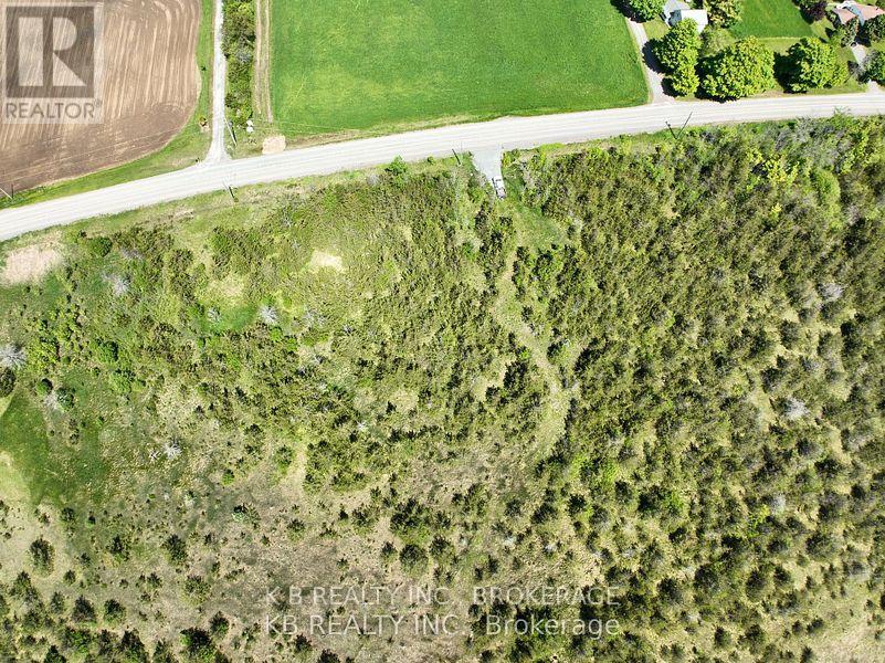 502 Centerville Road, Stone Mills, Ontario  K0K 1N0 - Photo 5 - X12033195