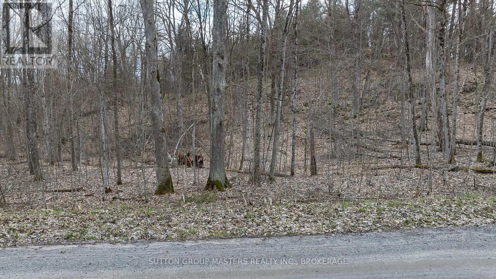 Pt Lt 5 James Wilson Road, Frontenac, Ontario  K0H 1W0 - Photo 4 - X12037156