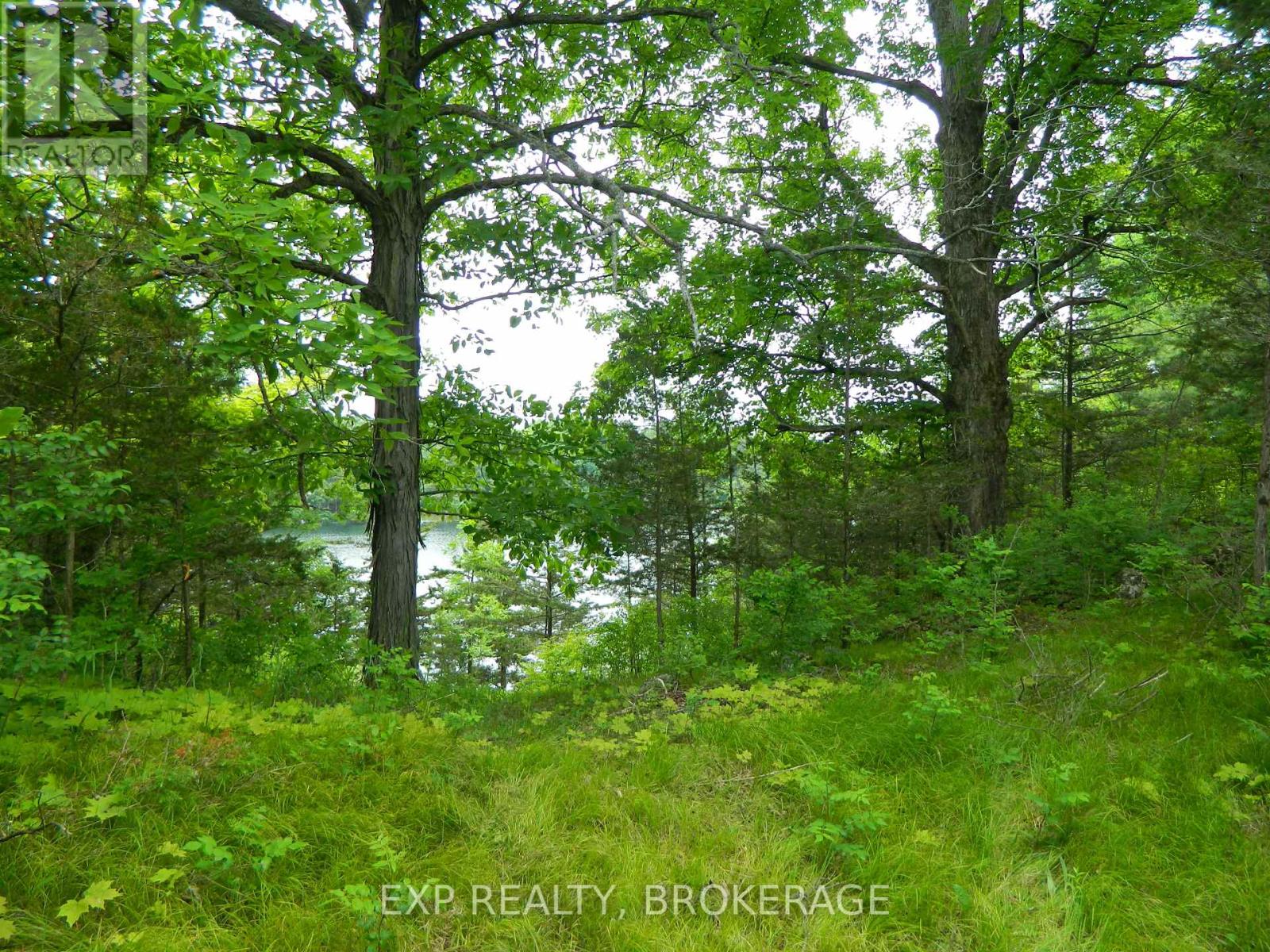 Pt Lt 5 Con 4 James Wilson Road, Frontenac, Ontario  K0H 1W0 - Photo 14 - X12039527