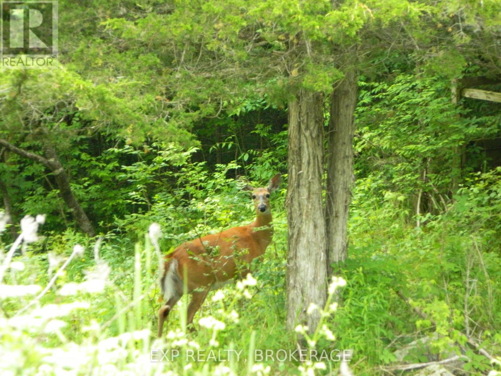 Pt Lt 5 Con 4 James Wilson Road, Frontenac, Ontario  K0H 1W0 - Photo 19 - X12039527