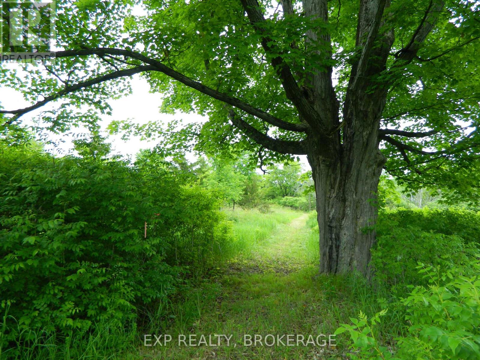 Pt Lt 5 Con 4 James Wilson Road, Frontenac, Ontario  K0H 1W0 - Photo 21 - X12039527