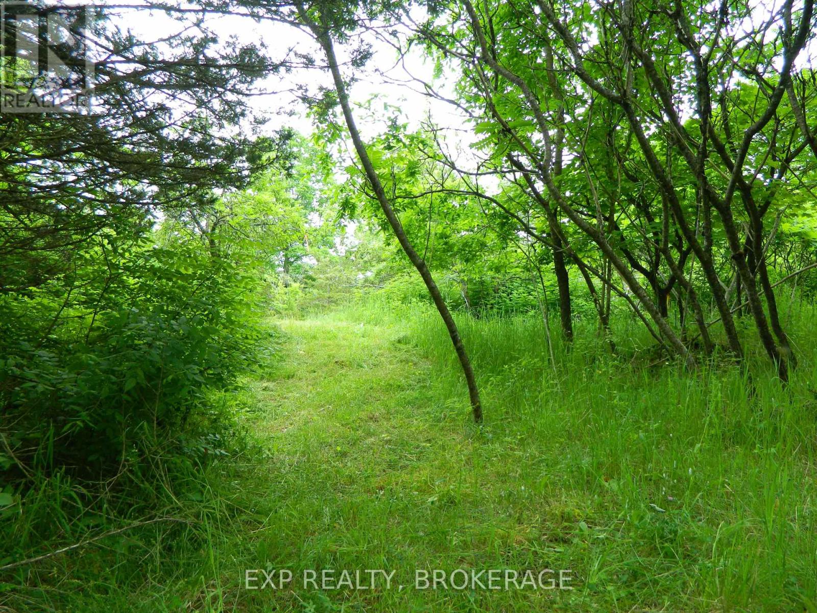 Pt Lt 5 Con 4 James Wilson Road, Frontenac, Ontario  K0H 1W0 - Photo 23 - X12039527