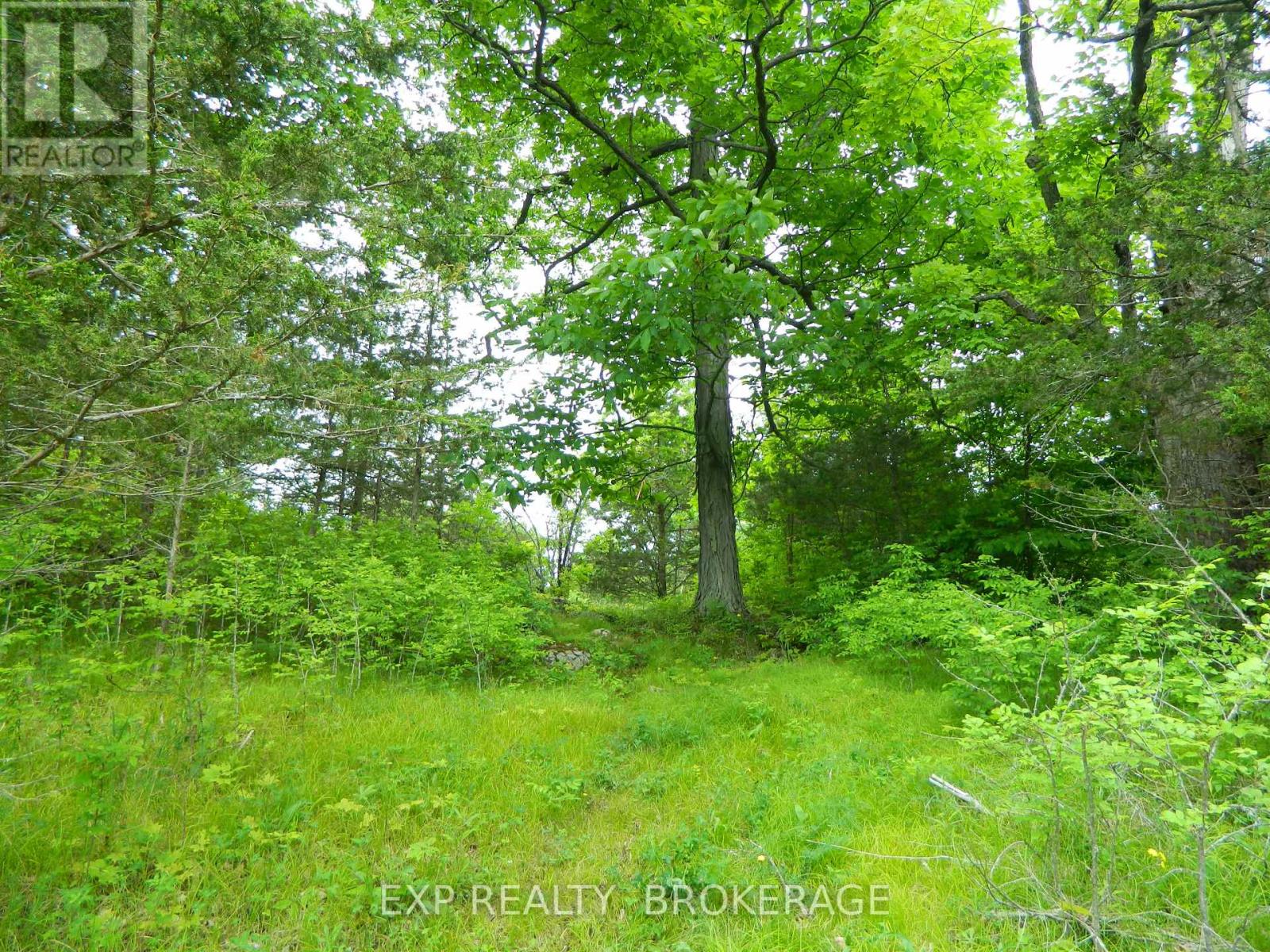Pt Lt 5 Con 4 James Wilson Road, Frontenac, Ontario  K0H 1W0 - Photo 25 - X12039527