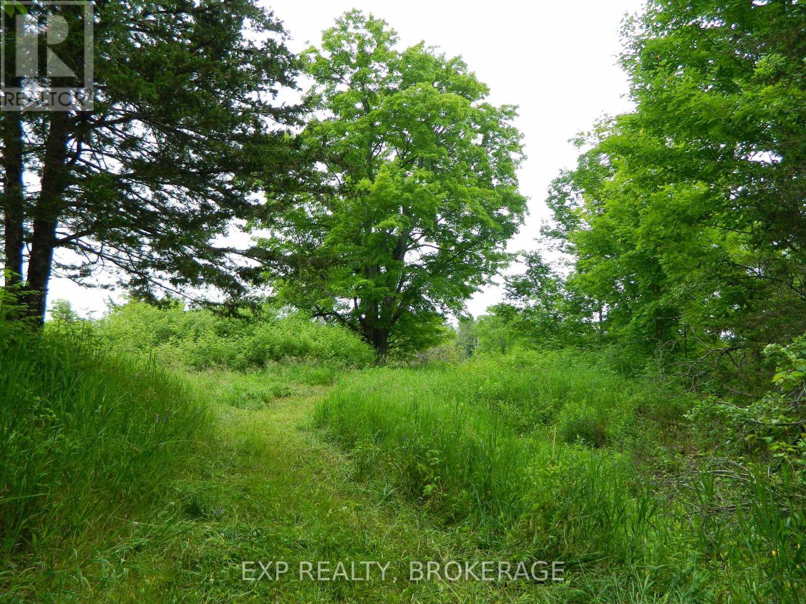 Pt Lt 5 Con 4 James Wilson Road, Frontenac, Ontario  K0H 1W0 - Photo 27 - X12039527