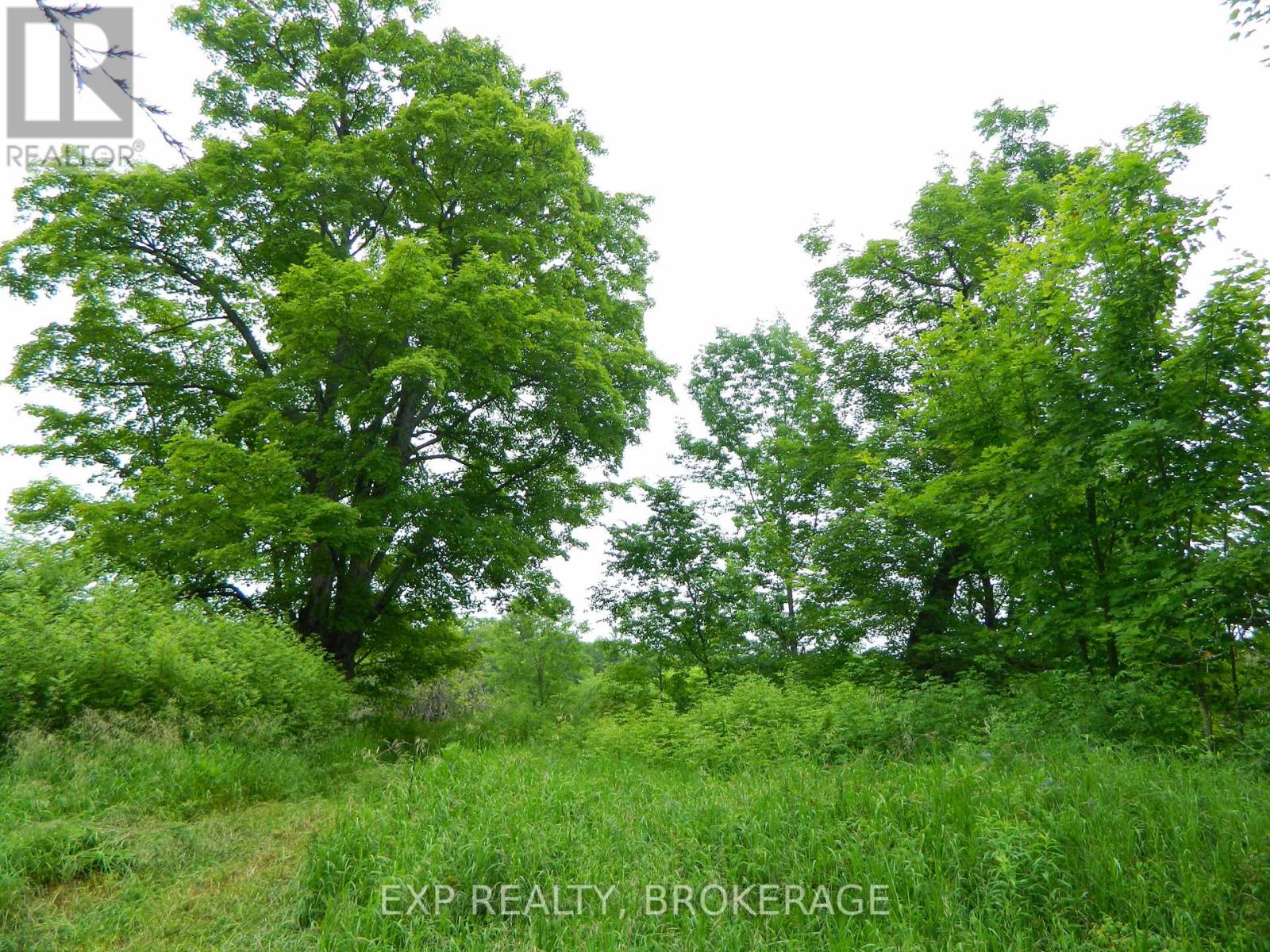 Pt Lt 5 Con 4 James Wilson Road, Frontenac, Ontario  K0H 1W0 - Photo 32 - X12039527