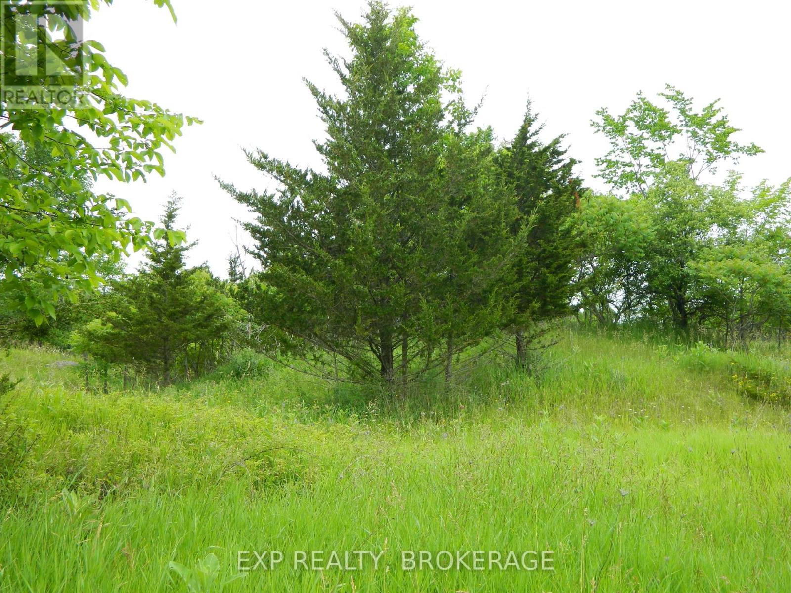 Pt Lt 5 Con 4 James Wilson Road, Frontenac, Ontario  K0H 1W0 - Photo 40 - X12039527