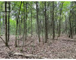 1335 JOHN F. SCOTT ROAD, Kingston, Ontario