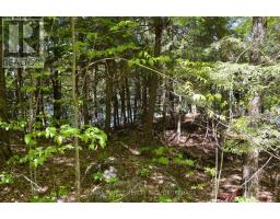 734 SHERBROOKE DRIVE, South Frontenac, Ontario