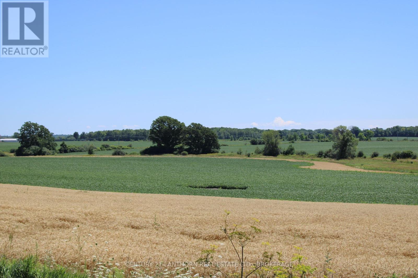 Lt15-16 County Road 1 W, Greater Napanee, Ontario  K7R 3L1 - Photo 6 - X12062611