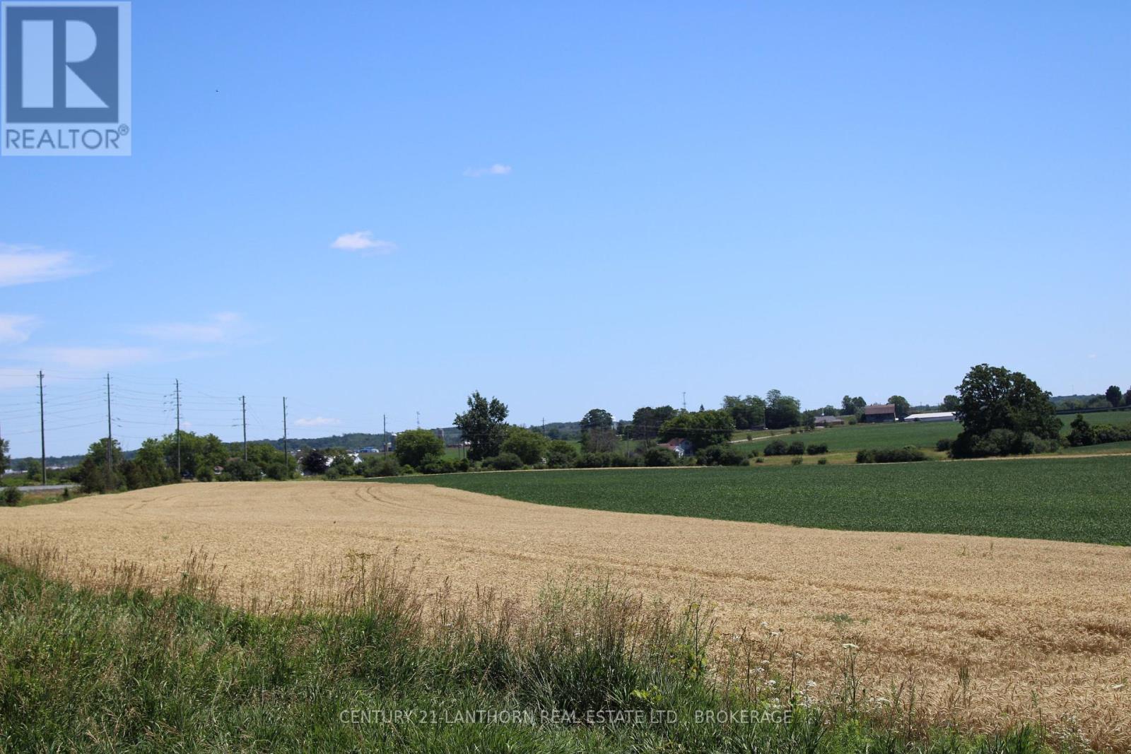 Lt15-16 County 1 Road W, Greater Napanee, Ontario  K7R 3L1 - Photo 11 - X12062612