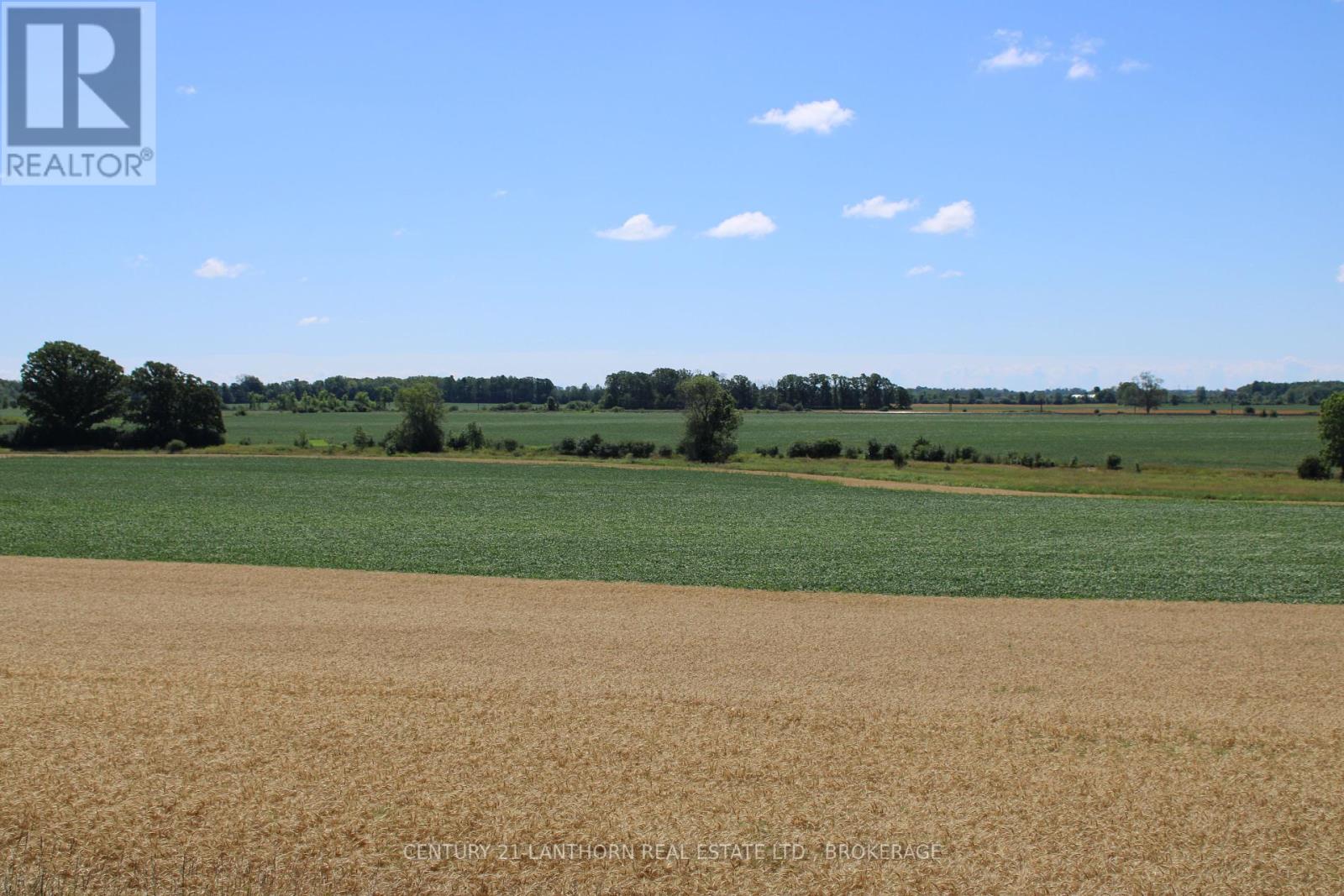 Lt15-16 County 1 Road W, Greater Napanee, Ontario  K7R 3L1 - Photo 3 - X12062612