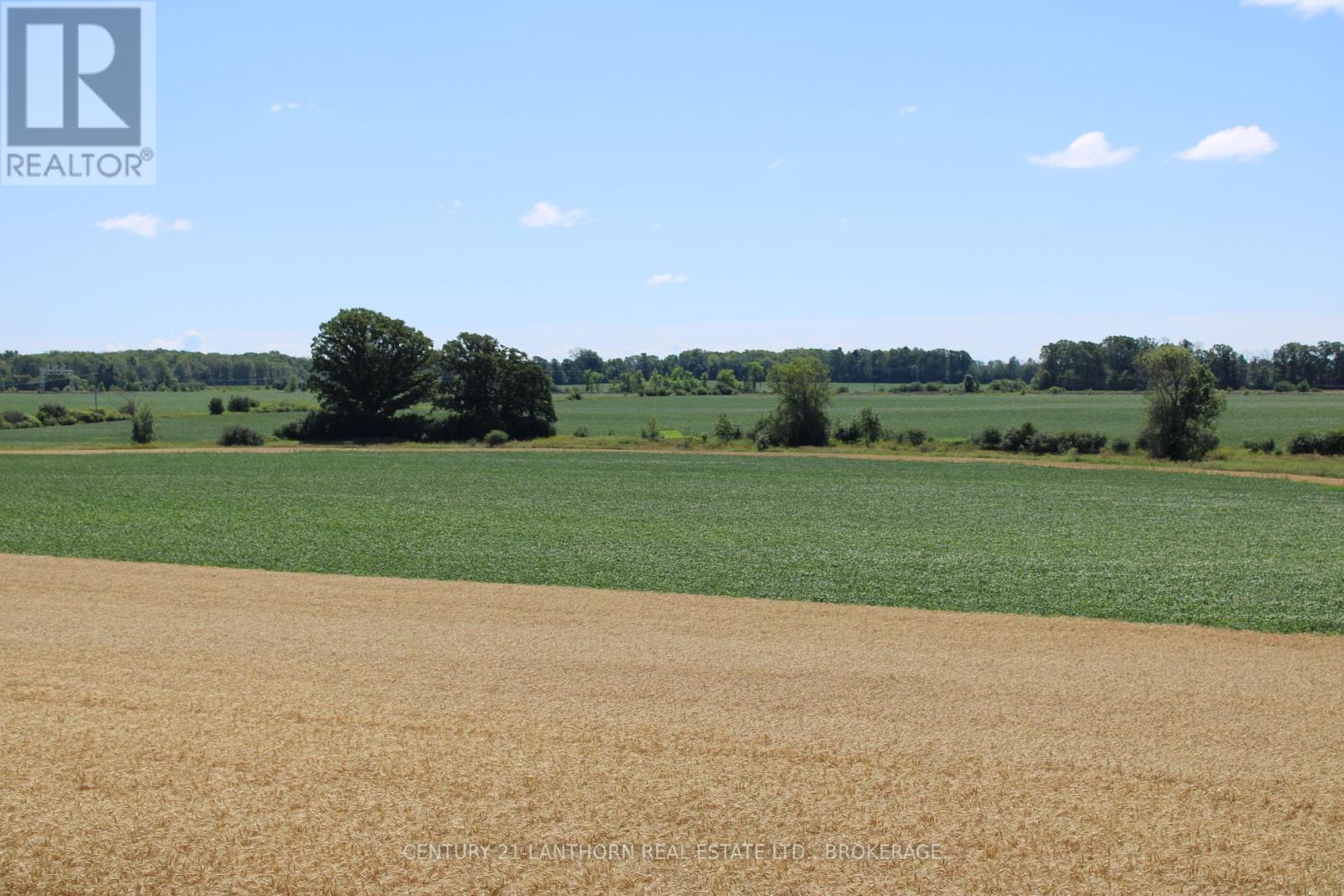Lt15-16 County 1 Road W, Greater Napanee, Ontario  K7R 3L1 - Photo 5 - X12062612