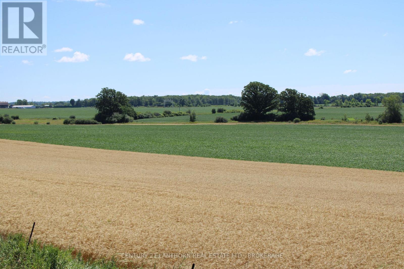 Lt15-16 County 1 Road W, Greater Napanee, Ontario  K7R 3L1 - Photo 6 - X12062612