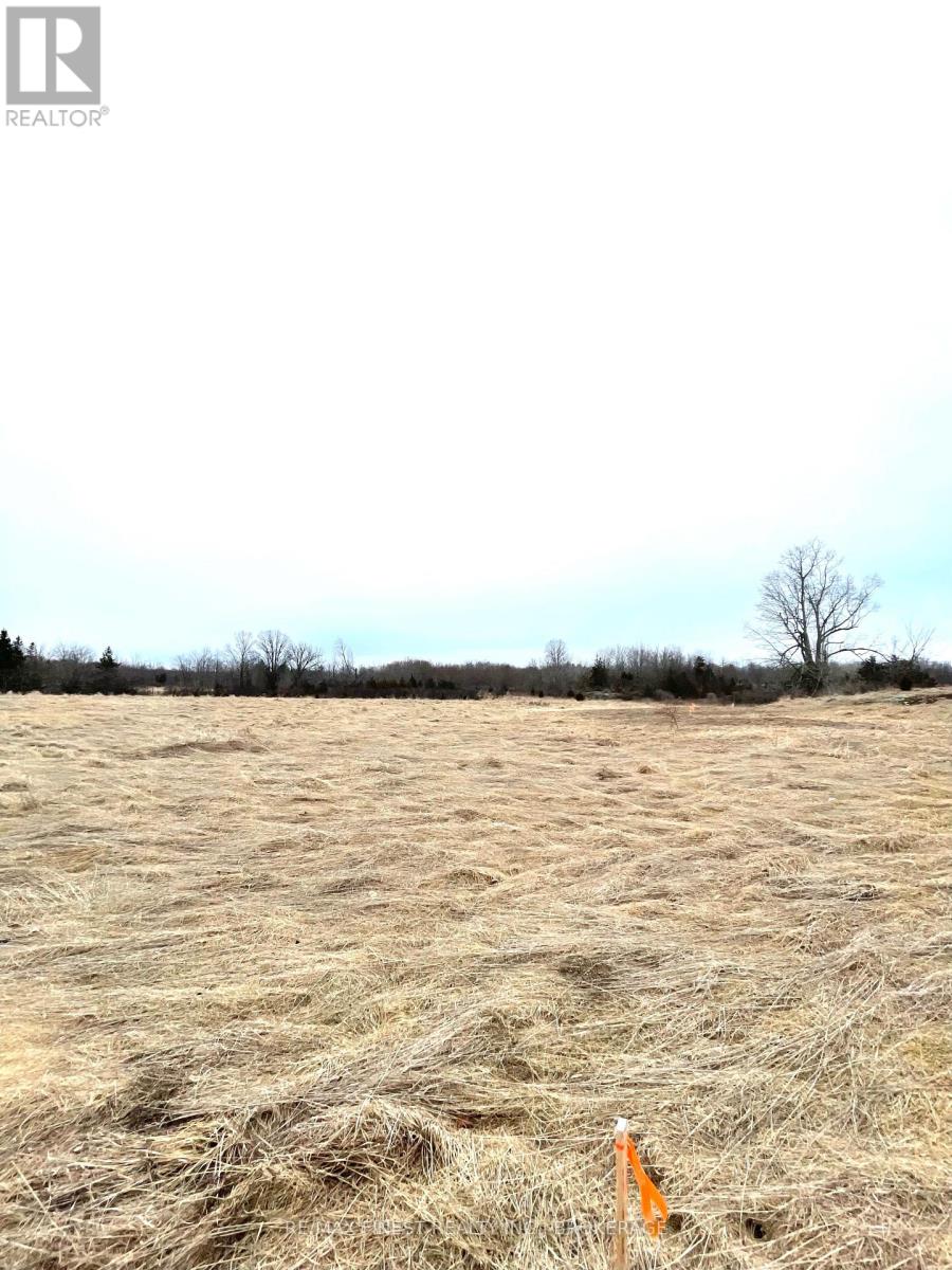 0 Pelow Road, Front Of Leeds & Seeleys Bay, Ontario  K7G 2V3 - Photo 4 - X12062854