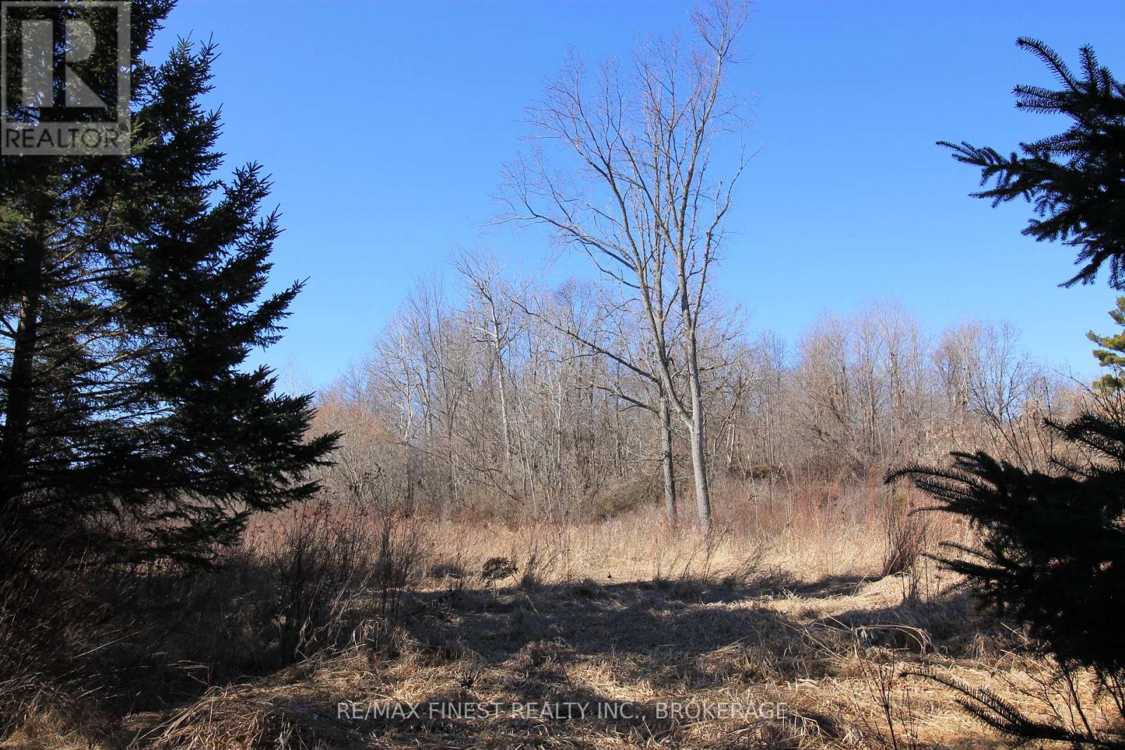 Lot 7 A Highway 2, Front Of Leeds & Seeleys Bay, Ontario  K7G 2V5 - Photo 11 - X12080795