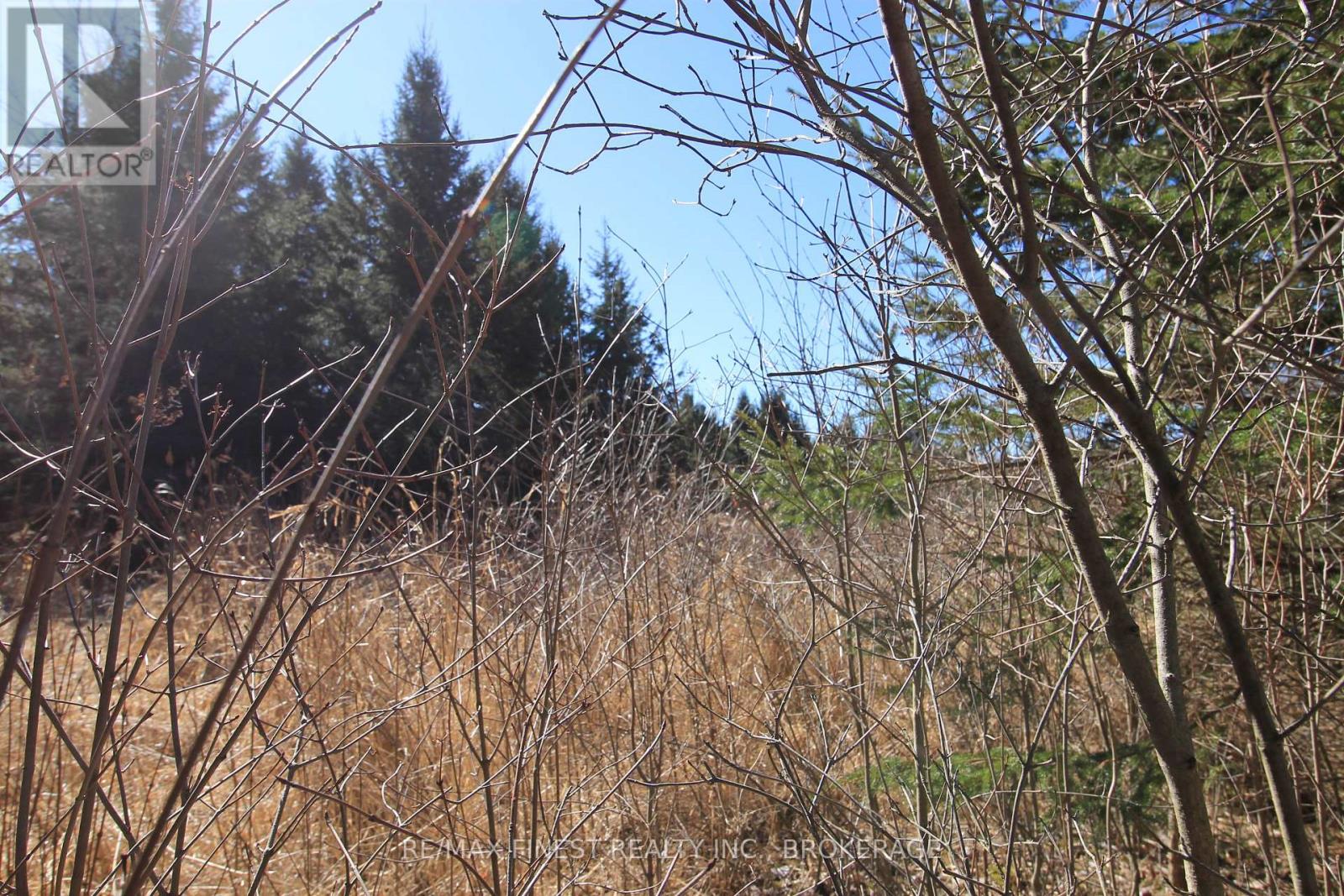 Lot 7 A Highway 2, Front Of Leeds & Seeleys Bay, Ontario  K7G 2V5 - Photo 7 - X12080795