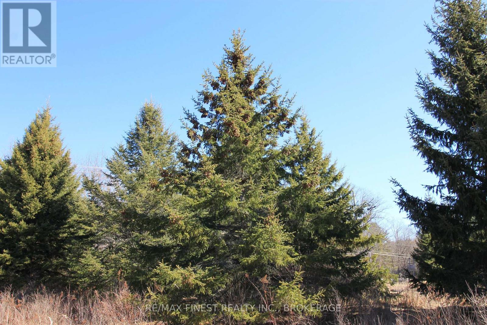 Lot 7 B Highway 2, Front Of Leeds & Seeleys Bay, Ontario  K7G 2V5 - Photo 14 - X12080804